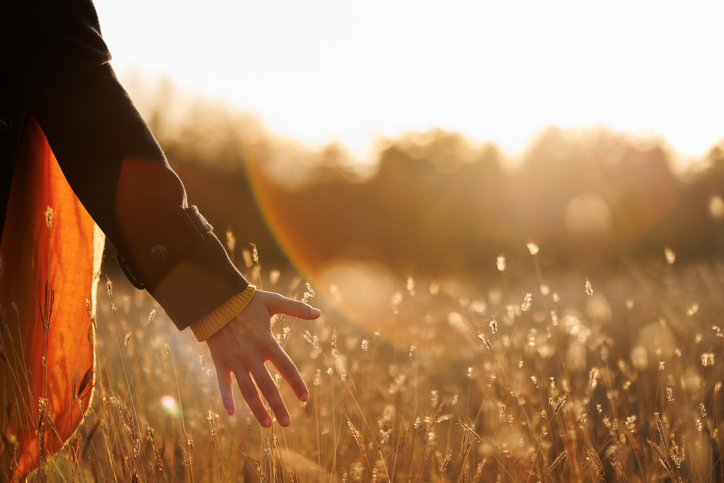 Woman’s hand touching crops in a sunlit field, symbolising self-care, mindfulness, and personal growth