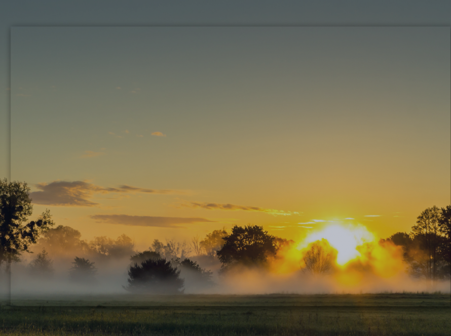 Winter sunrise through trees symbolising hope and recovery in eating disorder counselling.
