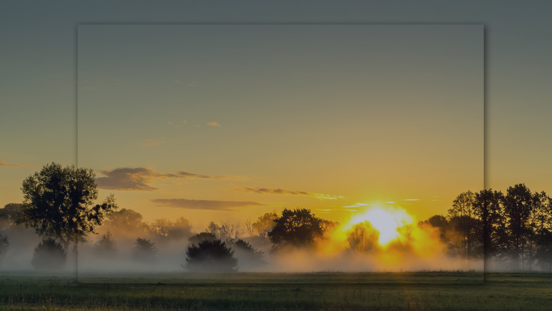Winter sunrise through trees symbolising hope and recovery in eating disorder counselling.