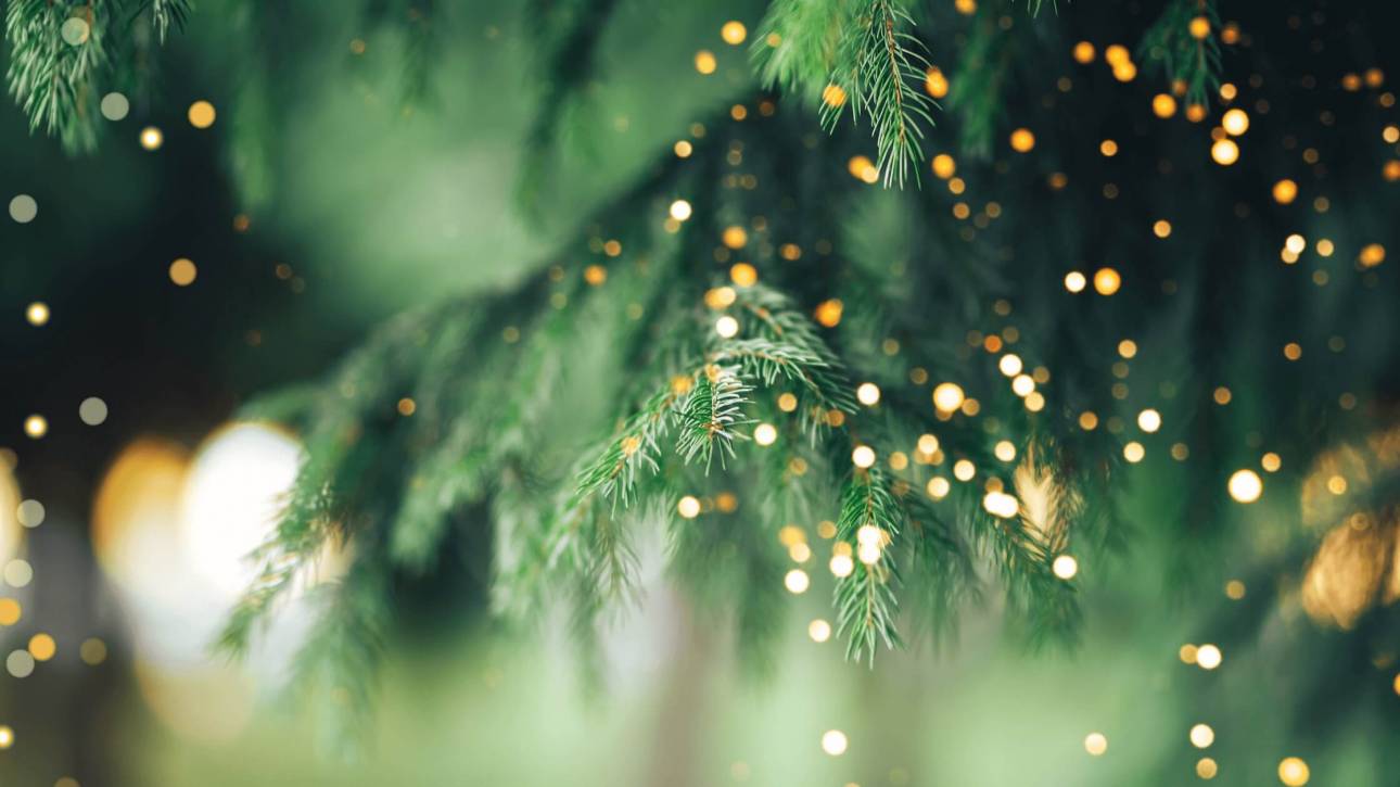 Soft-focus warm golden lights against green festive foliage.