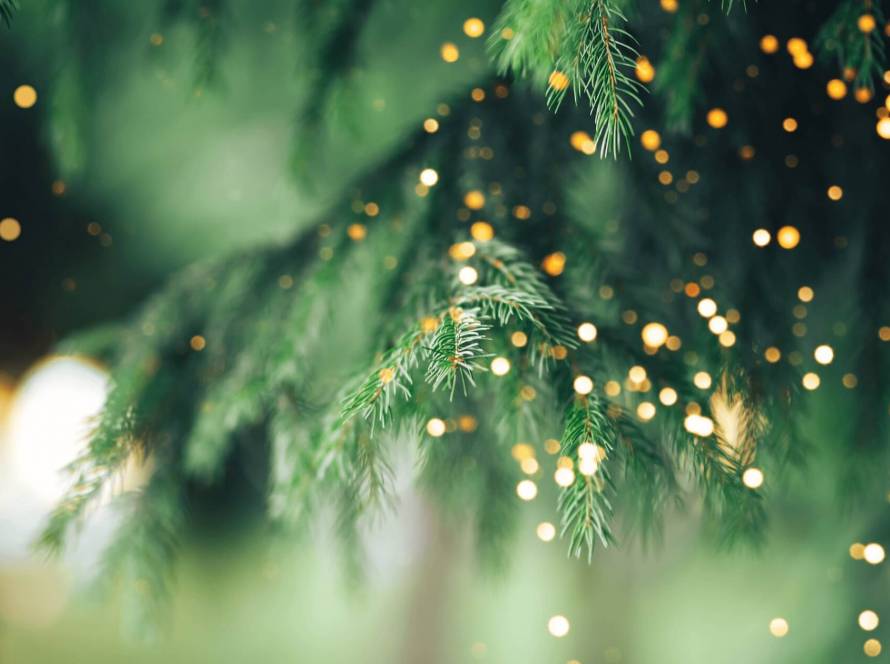 Soft-focus warm golden lights against green festive foliage.