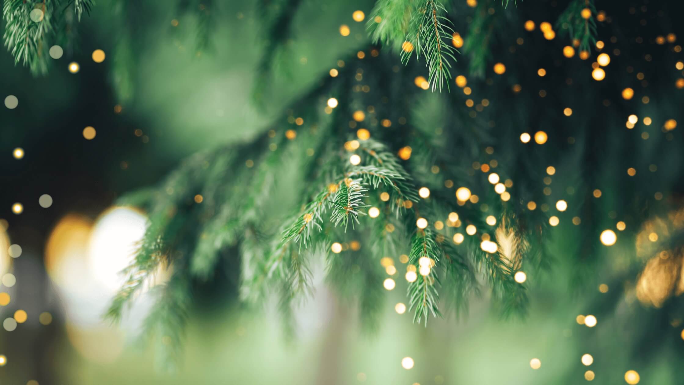 Soft-focus warm golden lights against green festive foliage.