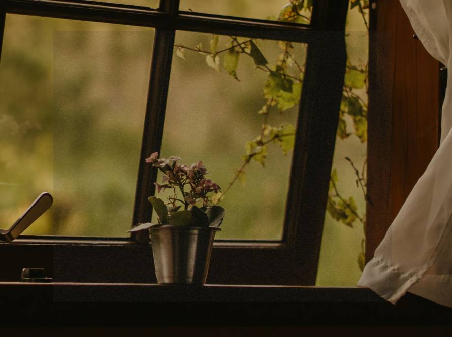 A dark interior looking out through an old window with a small potted plant on the sill and soft white curtains, with green foliage visible outside — representing the quiet stillness of burnout