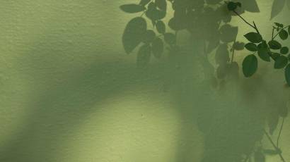 Soft shadows of leaves on a muted green textured wall in natural light, illustrating a post about childhood messaging and eating patterns