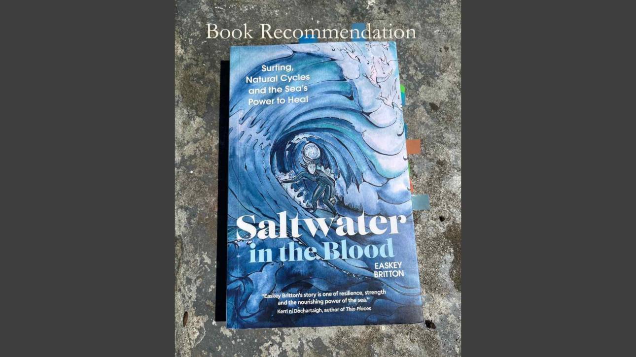 A copy of Saltwater in the Blood by Easkey Britton with coloured marker tabs visible, photographed on a slate surface in natural light