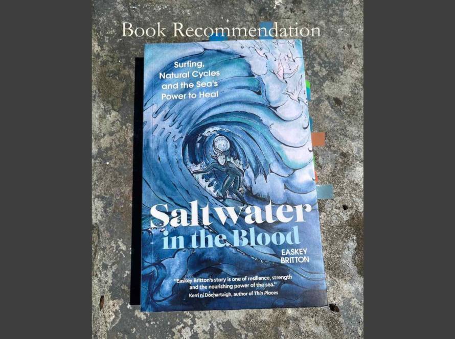 A copy of Saltwater in the Blood by Easkey Britton with coloured marker tabs visible, photographed on a slate surface in natural light