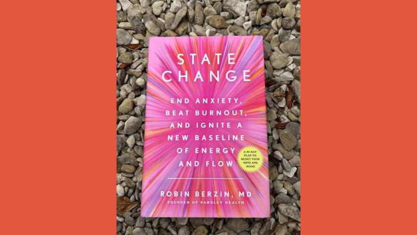 Copy of State Change by Robin Berzin resting on grey gravel, framed by warm orange side panels