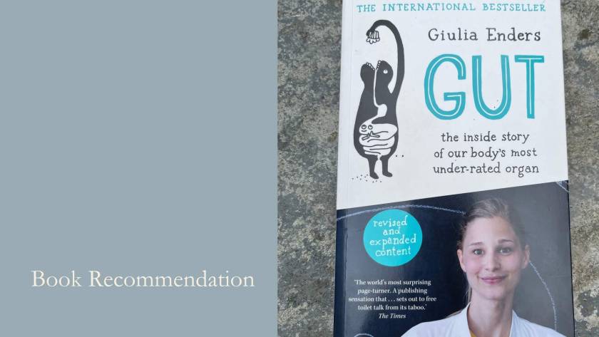 Copy of Gut by Giulia Enders resting on stone, this month's book recommendation