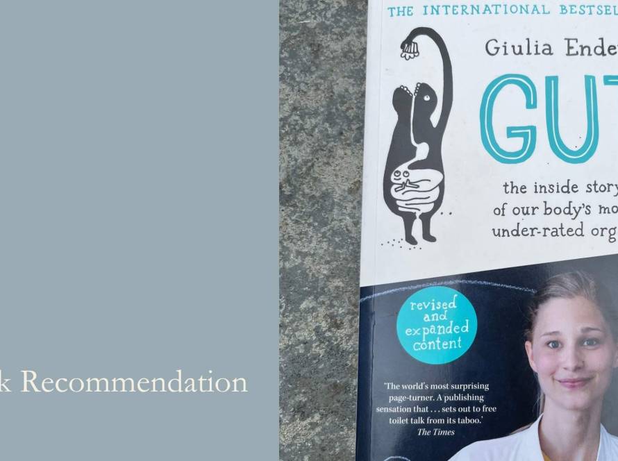 Copy of Gut by Giulia Enders resting on stone, this month's book recommendation