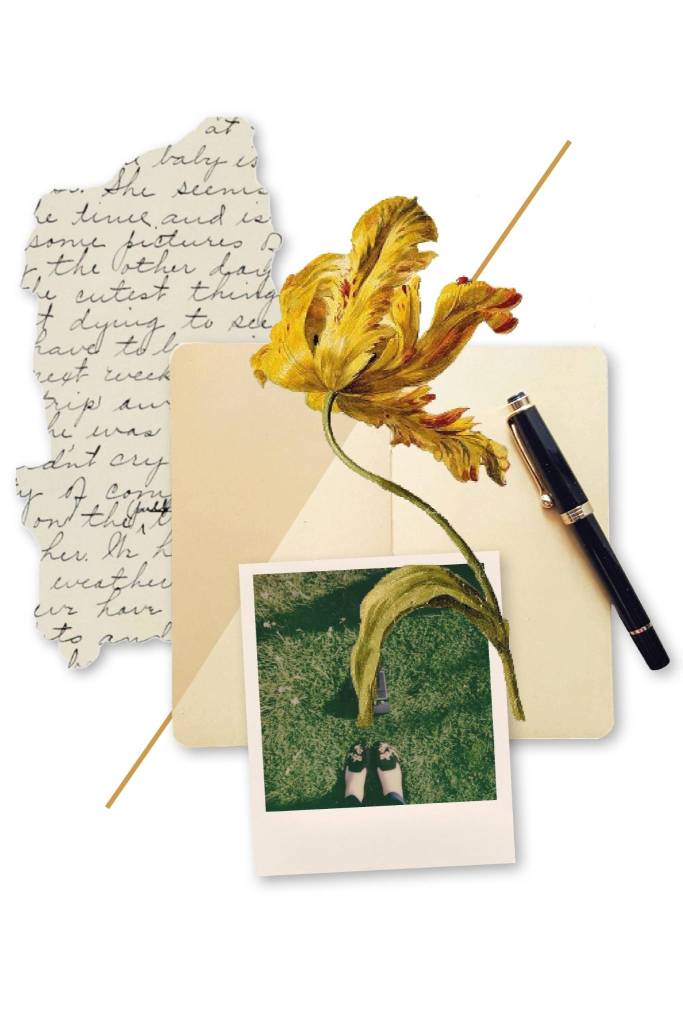 Editorial collage of a handwritten letter, journal, fountain pen and botanical tulip illustration representing personal reflection and the counselling journey